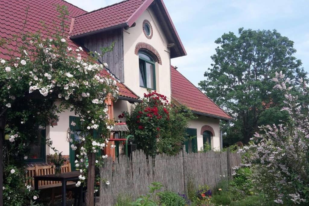 Entspannen Im Dorf Am See Zahren Екстериор снимка